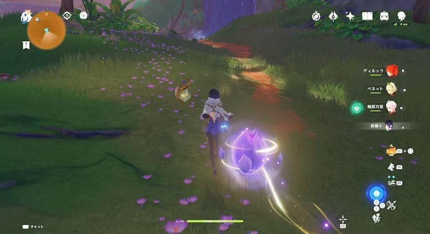 蕾を追いかける