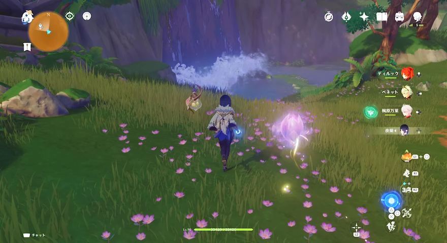 蕾を追いかける