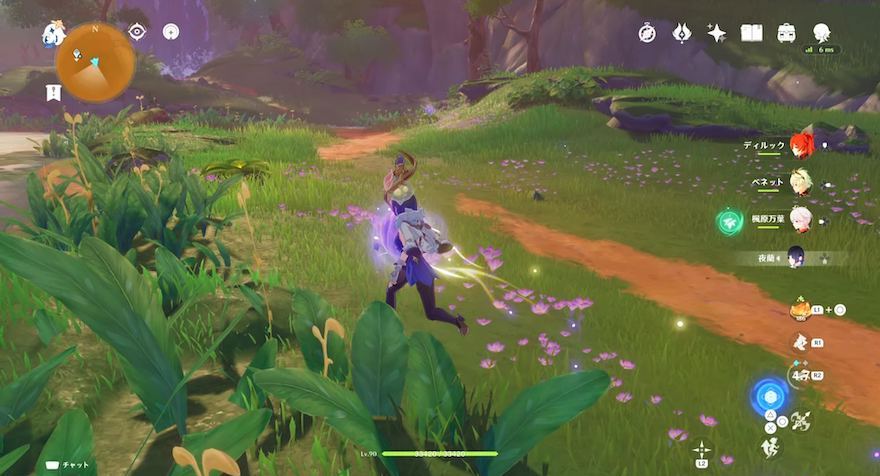 蕾を追いかける