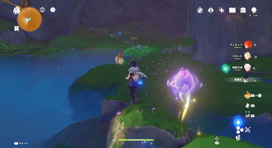 蕾を追いかける