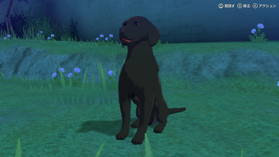 クロエレオスケン