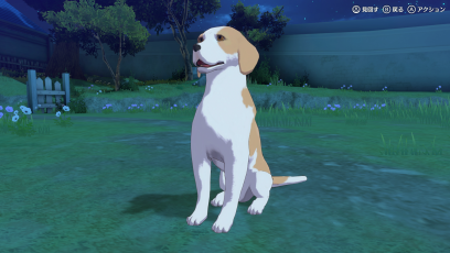 シロエレオスケン