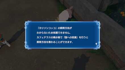 動物が保護できない画面