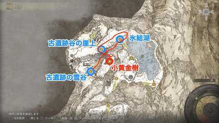 黄金樹の化身の場所