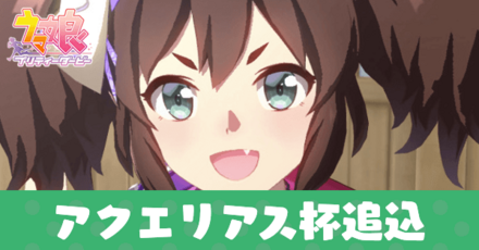 アクエリアス杯追込