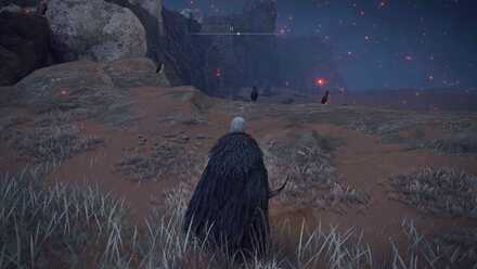 四指の鳥脚 を落とす鳥