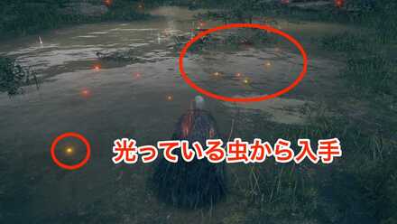 金色ホタルの入手場所.jpg