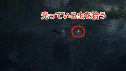 銀色ホタルの詳細場所