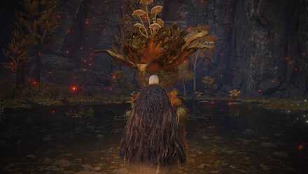 ミランダパウダーを落とす敵