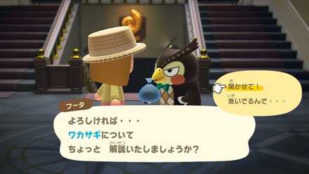 寄贈品の解説をしてもらえる