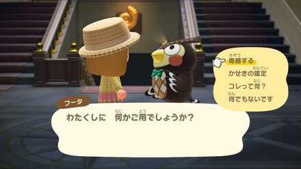 化石や生き物、美術品の寄贈ができる