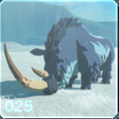 オオツノサイの画像