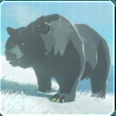 コウテイヒグマの画像