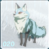 ユキイロギツネの画像