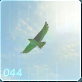 シマオタカの画像