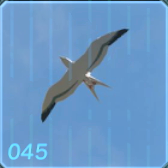 ウミカモメの画像