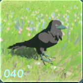 ヤマガラスの画像