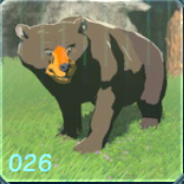 ハチクイグマの画像