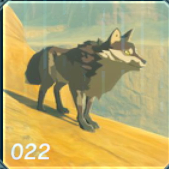 カラカラコヨーテの画像