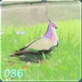 ナミバトの画像