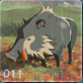 キバアカイノシシの画像