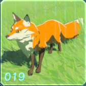 ヘイゲンギツネの画像