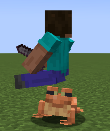 カエルに乗るプレイヤー