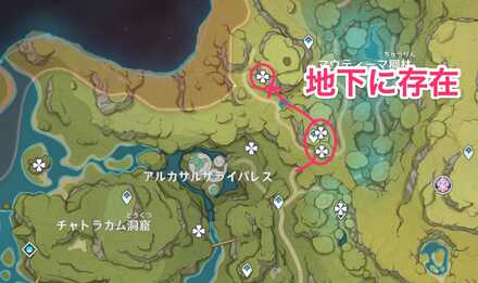 ローカパーラ密林