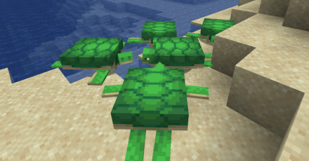 カメがスポーンする