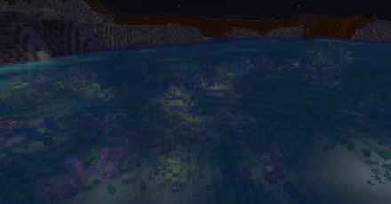 暖かい海は夜でも明るい