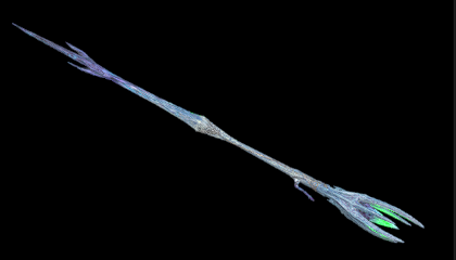 氷賢フィロスの画像