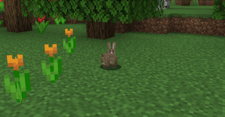 ウサギがスポーンする