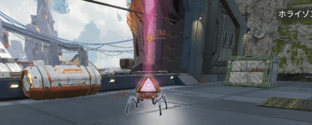 ルートティック