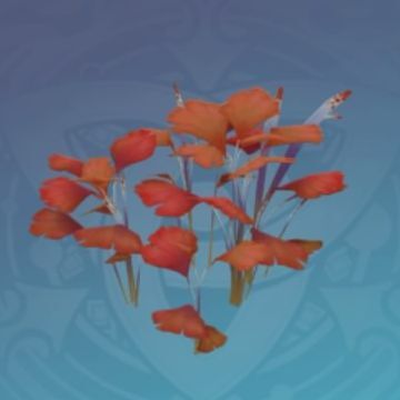 「夕日の投影」の画像