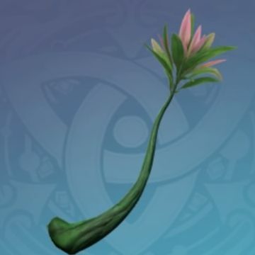 鉄刀午天木の画像