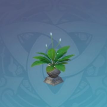 「浅眠の花灰青」の画像