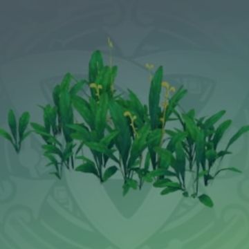 「水辺の豊穣」の画像