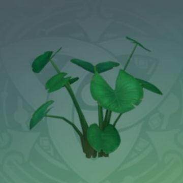 「飲露傘葉」の画像