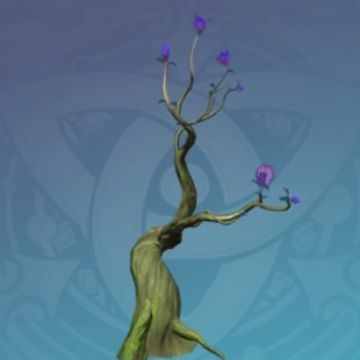 「静謐な小枝」の画像