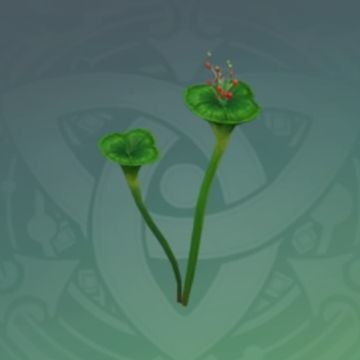 「スペシャルな甘み」の画像