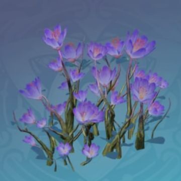 「静謐なムクゲ」の画像