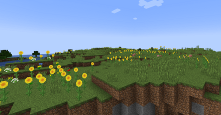 ヒマワリ平原画像