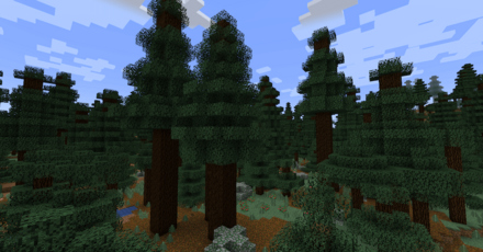 トウヒの原生林