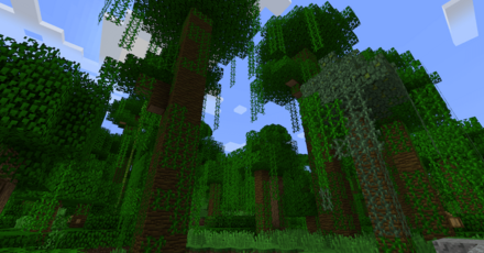 ジャングル