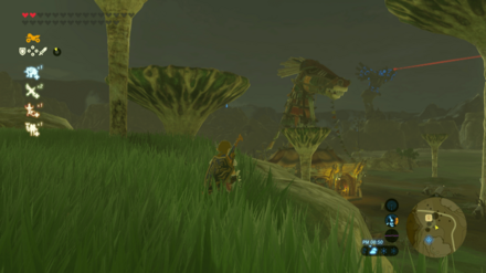 タバンタ大橋馬宿