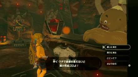 ゴロンシティ防具屋