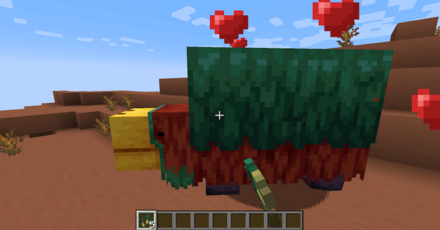 トーチフラワーの種で繁殖が可能