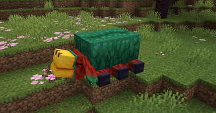 地面からトーチフラワーの種を掘り出す