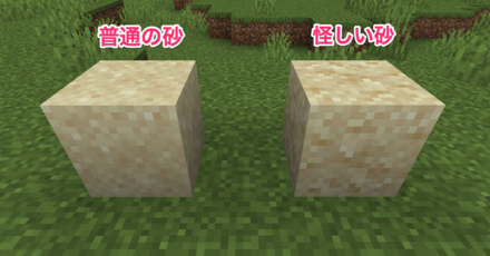 怪しげな砂は見分けがつきにくい