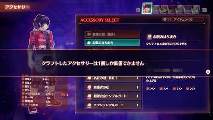 1つしか装備できない